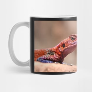 East African Rainbow Agama Lizard, Male Mug